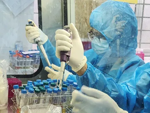 3 ca mắc Covid-19, được phát hiện tại Đồng Tháp và Bà Rịa - Vũng Tàu